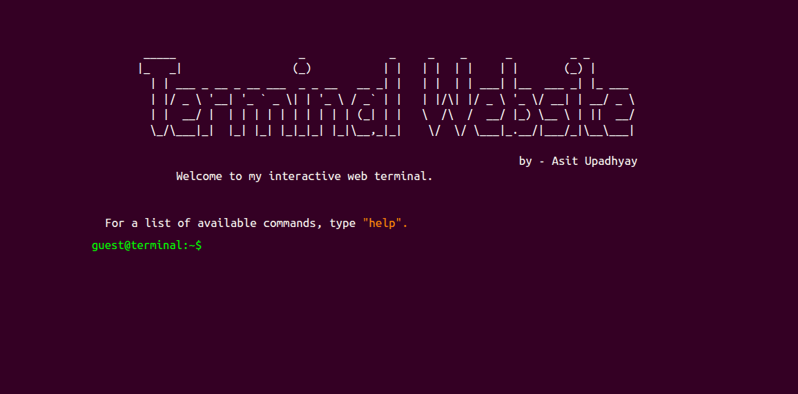 Terminal Website project image
